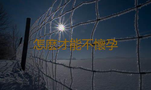 怎麽才能不懷孕